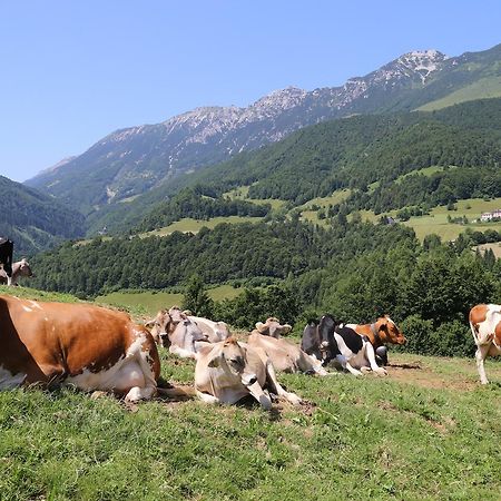 Albergo Alpino Da Tullio Avio Zewnętrze zdjęcie